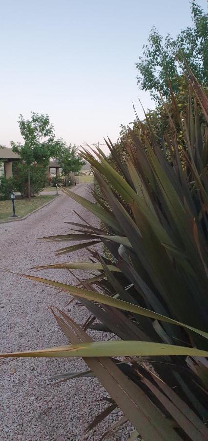 Bed and Breakfast Alto San Andres San Andres de las Sierras Exterior foto